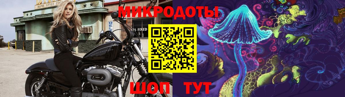 Гай  Галлюциногенные грибы ЛСД  Вход с VPN 
