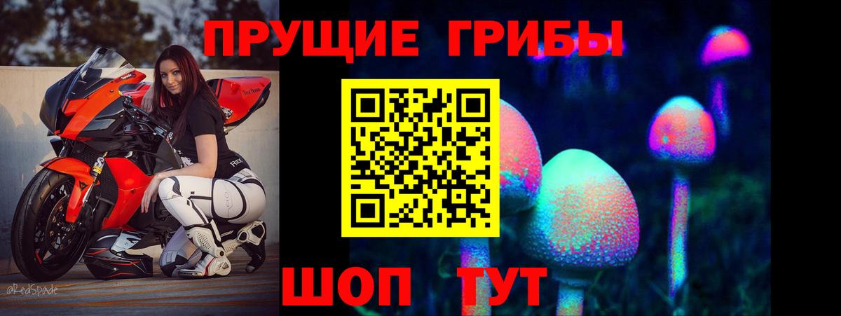 Галлюциногенные грибы мухоморы Гай